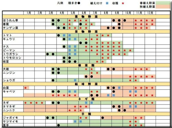 春野菜の種まき・植え付け時期一覧表