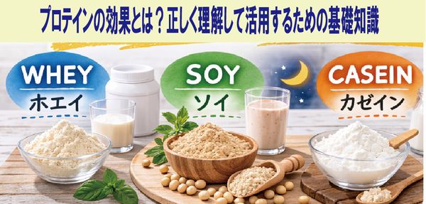 プロテインの効果とは？正しく理解して活用するための基礎知識
