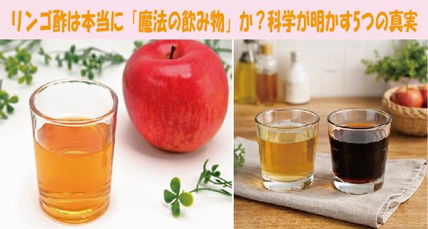 リンゴ酢は本当に「魔法の飲み物」か？科学が明かす5つの真実