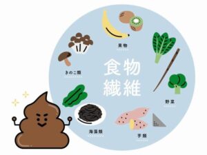 食物繊維と排泄の関係のイラスト
