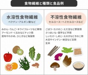 水溶性食物繊維と不溶性食物繊維の食物繊維と種類と食品例の画像