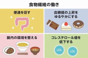 食物繊維の働きを示したイラスト