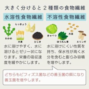 水溶性食物繊維と不溶性食物繊維の野菜のイラスト