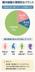 腸内細菌の理想的なバランス