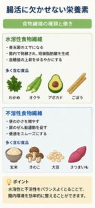 腸活に欠かせない栄養素