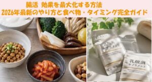 腸活 効果を最大化する方法。2026年最新のやり方と食べ物・タイミング完全ガイド