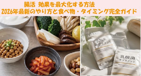 腸活 効果を最大化する方法。2026年最新のやり方と食べ物・タイミング完全ガイド