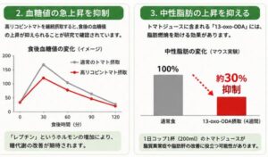 血糖値の情報を抑制・中世し 中性脂肪の上昇を抑える