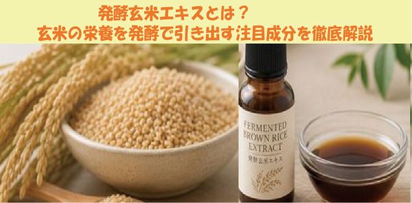 発酵玄米エキスとは？ 玄米の栄養を発酵で引き出す注目成分を徹底解説