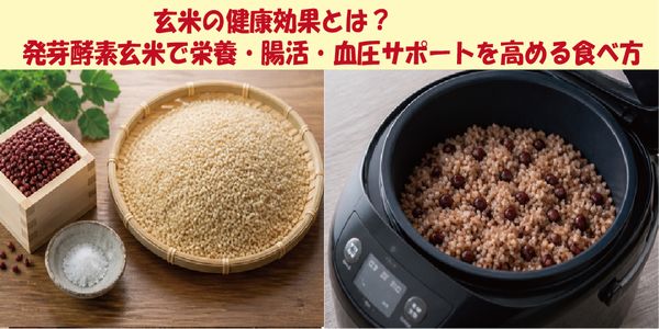 玄米の健康効果とは？発芽酵素玄米で栄養・腸活・血圧サポートを高める食べ方