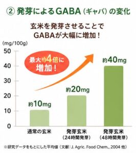 発芽によるGABAの変化