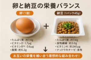 卵と案っと宇の栄養バランス
