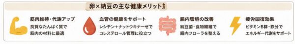 卵ｘ納豆の主な健康メリット