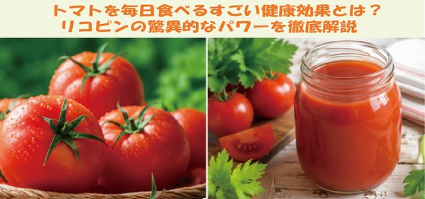 トマトを毎日食べるすごい健康効果とは？ リコピンの驚異的なパワーを徹底解説