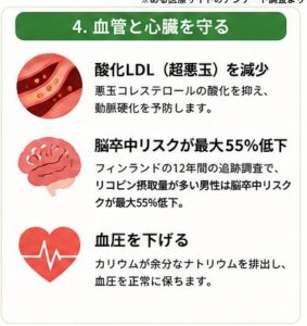 血管時ち品蔵を守る