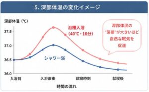 深部体温の変化のイメージ