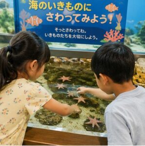 水族館でヒトデで触っている画像
